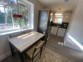 NEW! Brand New Beautiful Modern Apartment